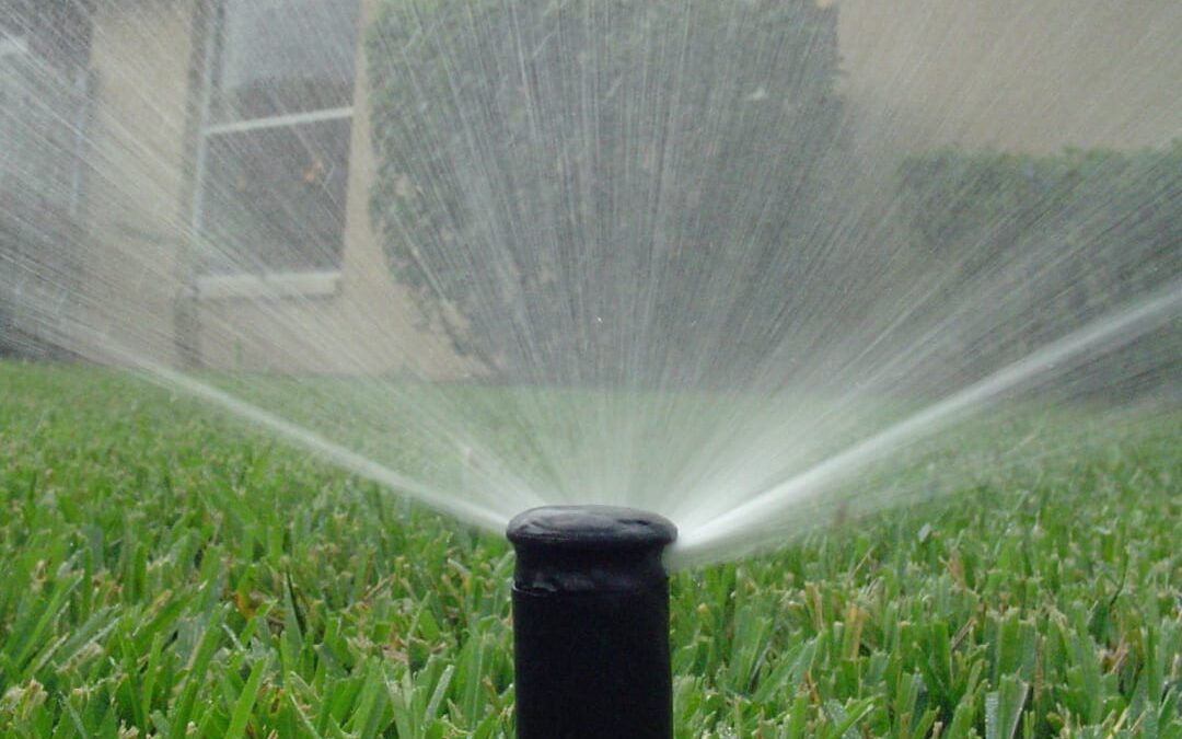 Lawn sprinkler watering green grass