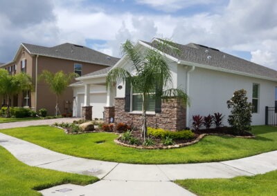 Suburban house with palm trees and lawn
