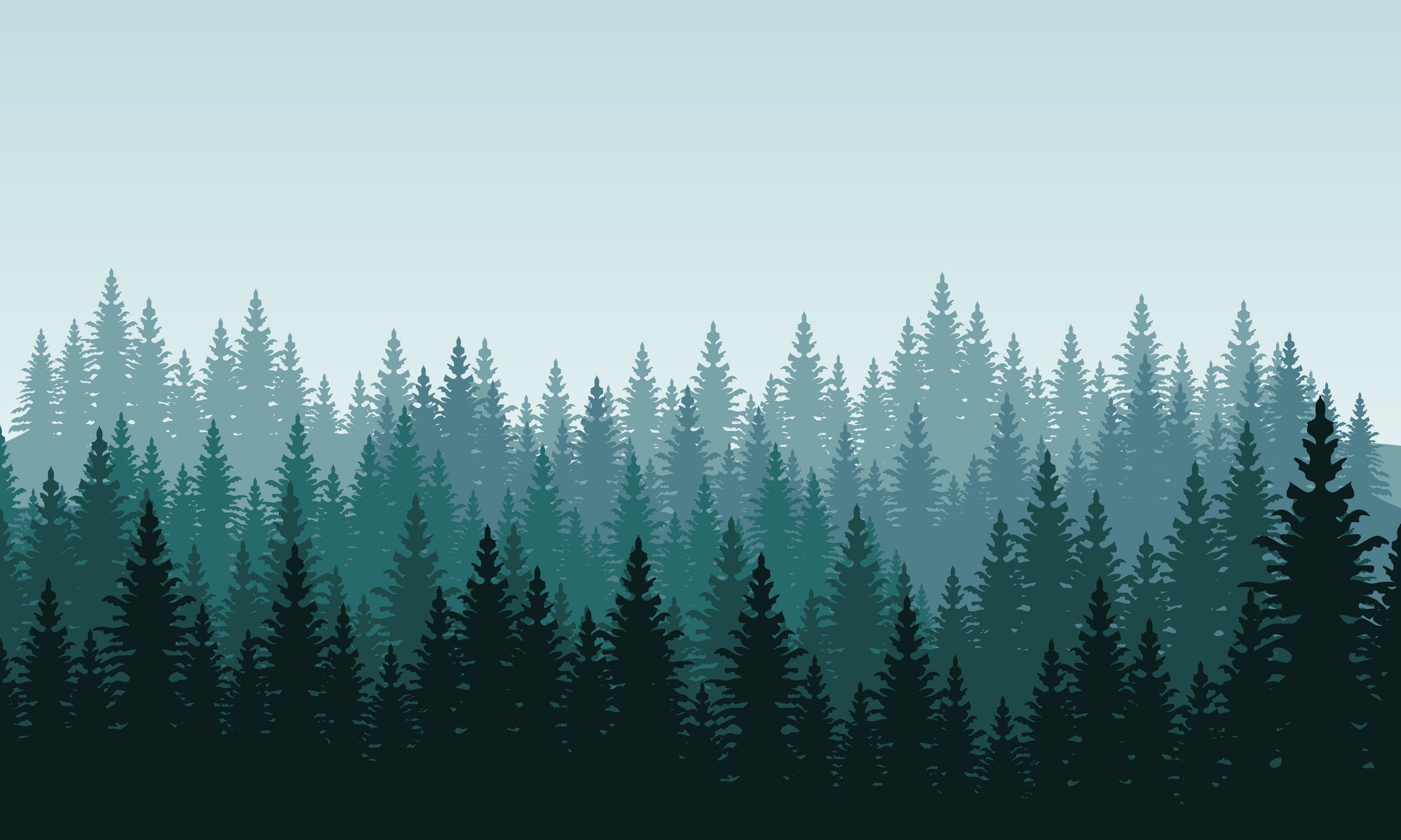 Illustration of a dense evergreen forest silhouette.