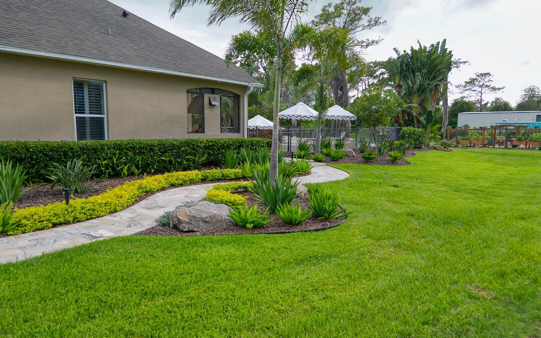 Backyard walkway with garden beds and lawn