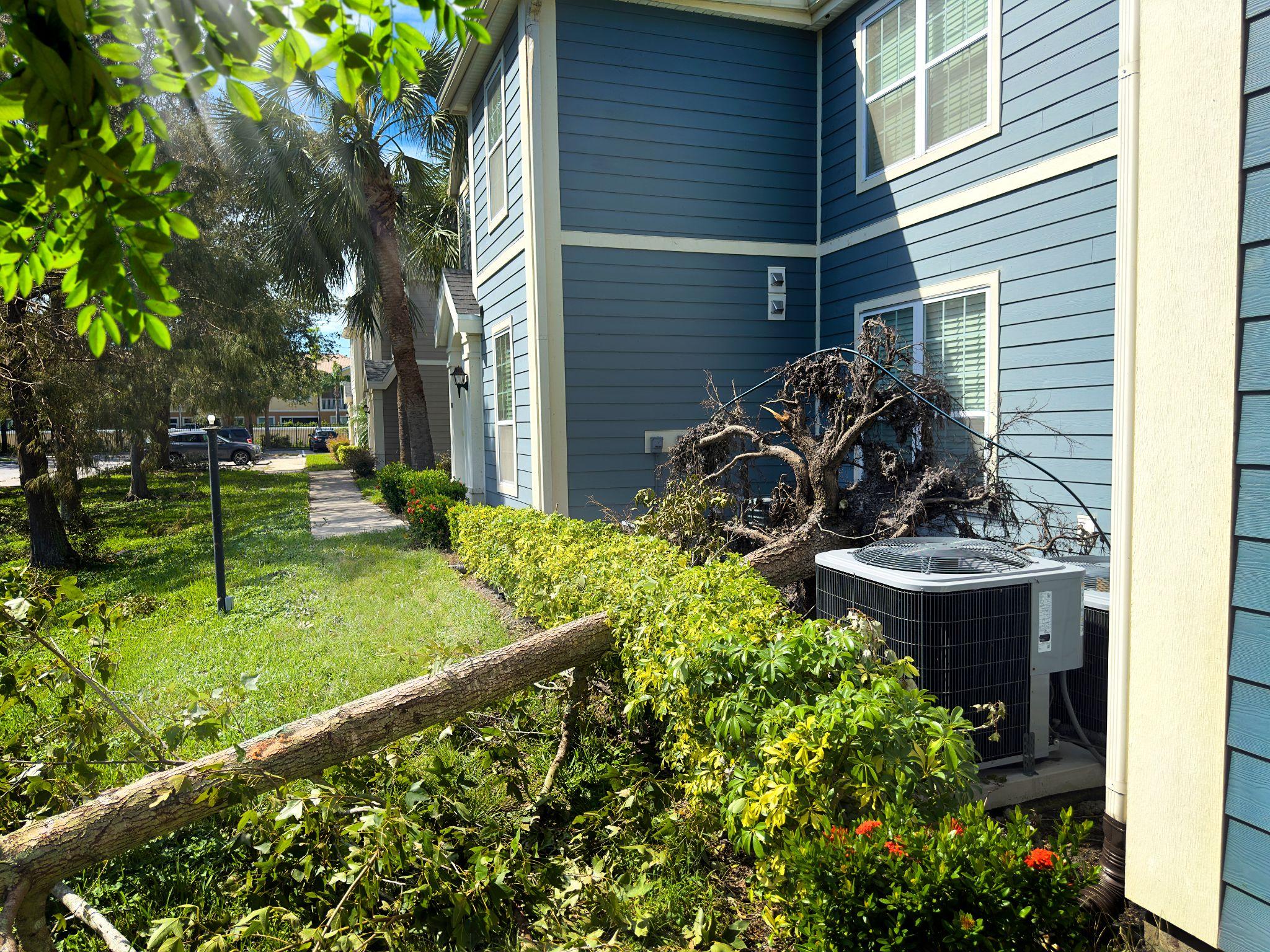 Fallen tree resting against an apartment building near an outdoor air conditioning unit after storm damage.