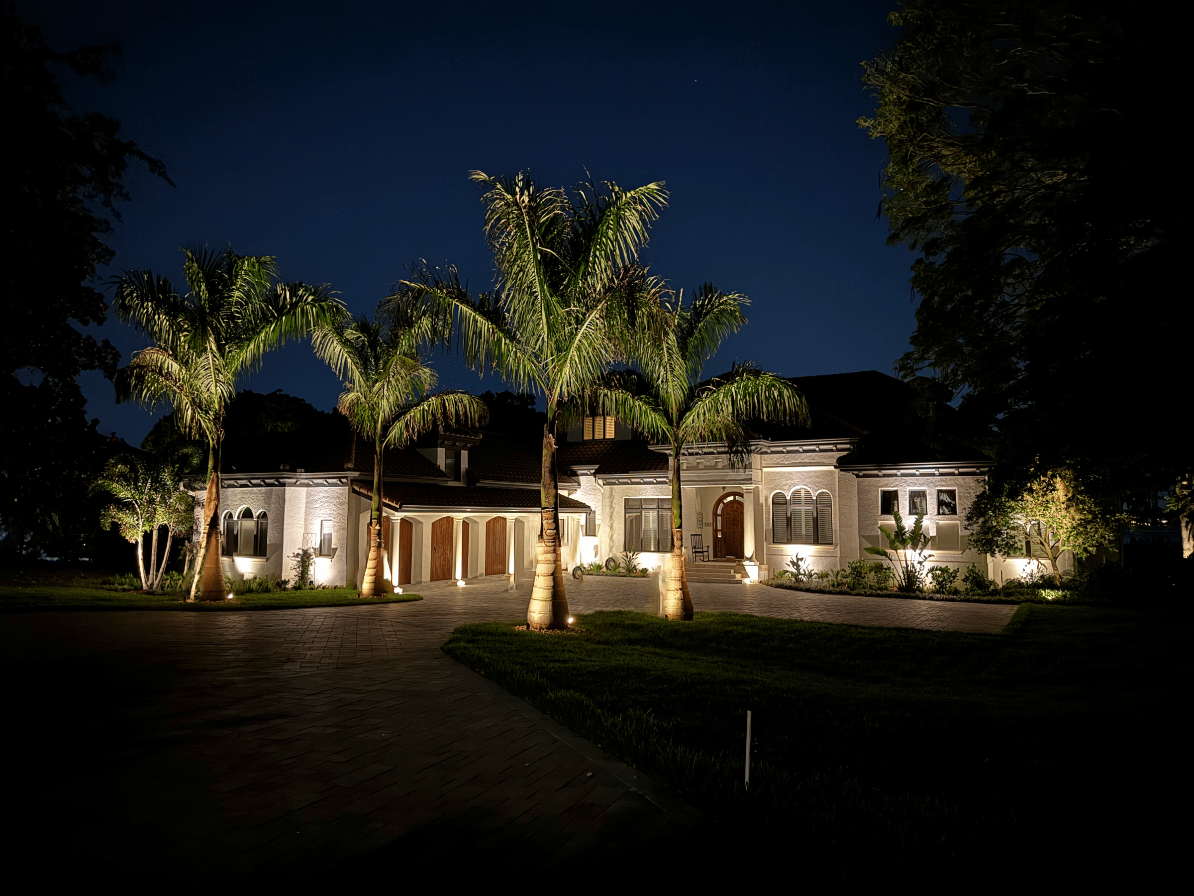 Luxury home exterior with palm trees at night