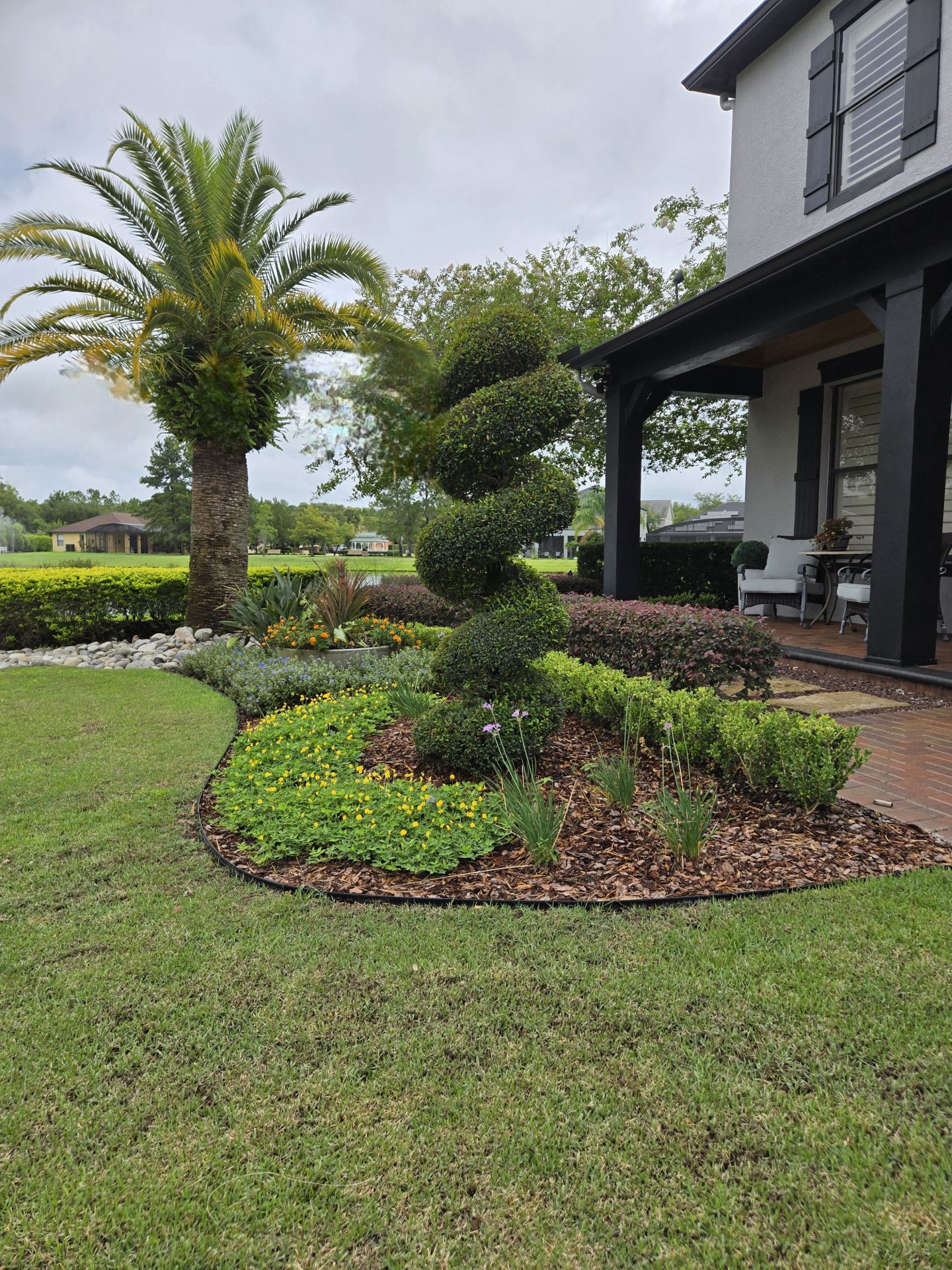 Beautiful garden with spiral topiary and palm tree.