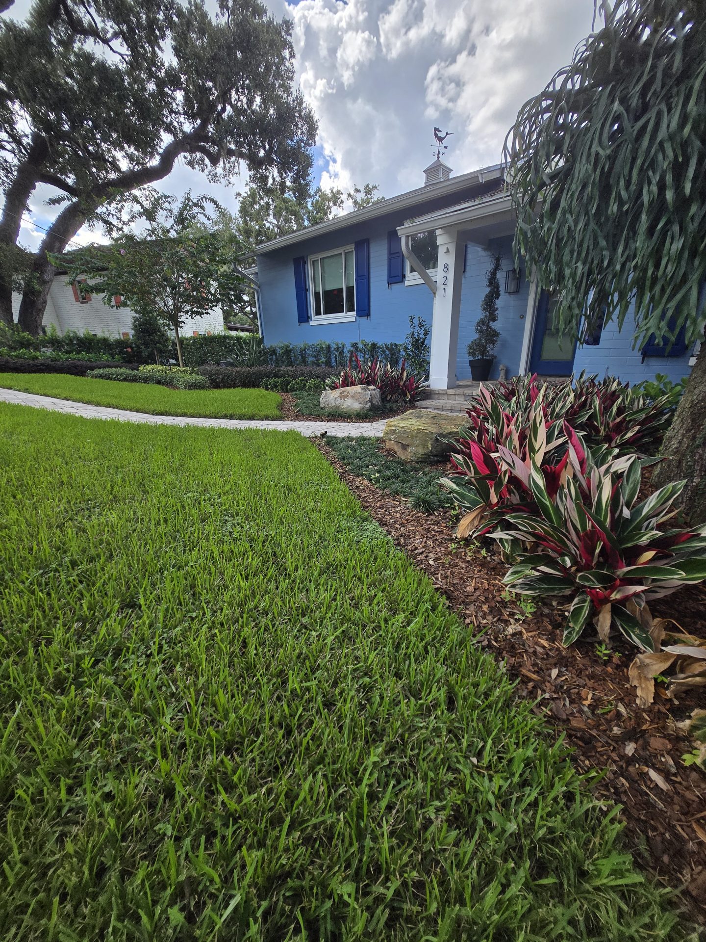 Blue house, lush garden, vibrant plants, sunny day.