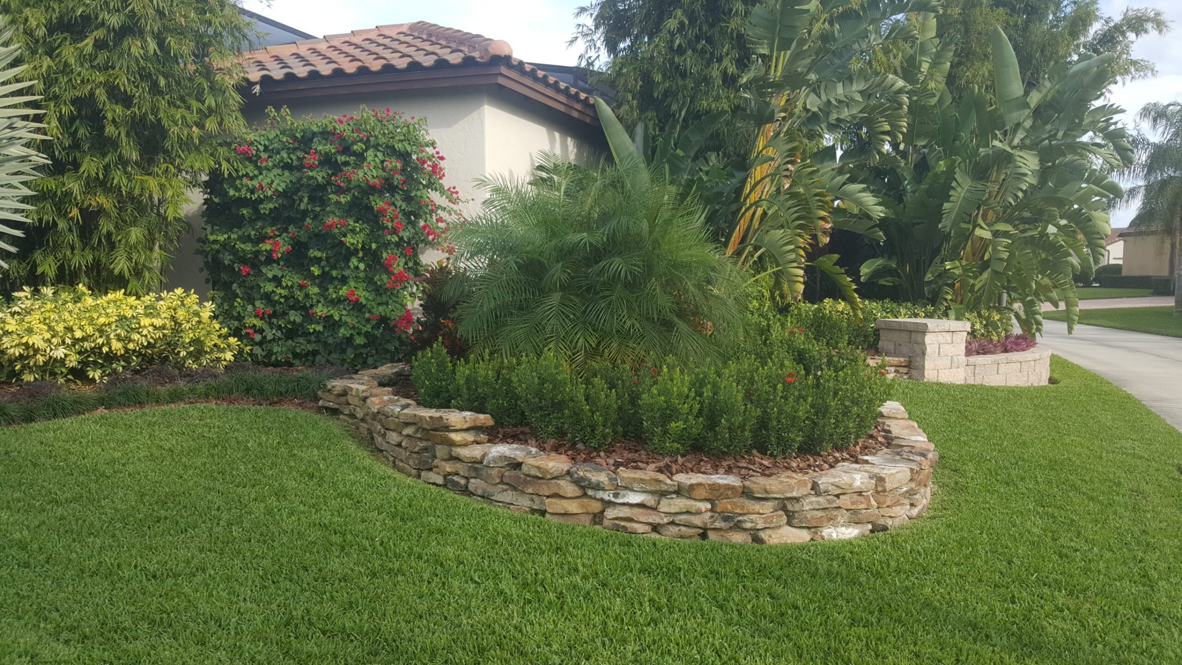 Lush garden with stone wall and tropical plants.