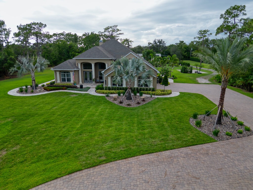 Modern house with landscaped garden and driveway.